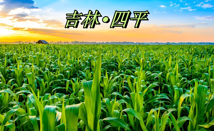 吉林四平.jpg