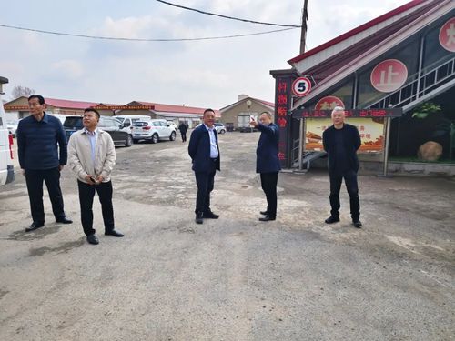 市供销社调研社有企业运营发展情况