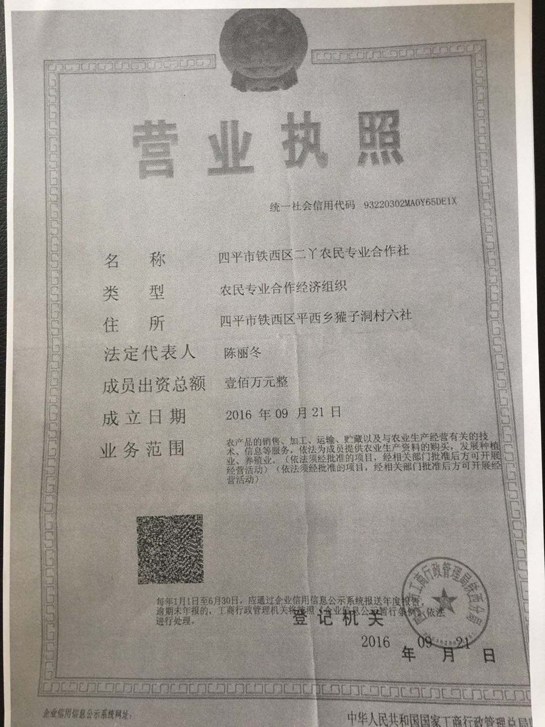 鐵西區二丫農民專業合作社.jpg